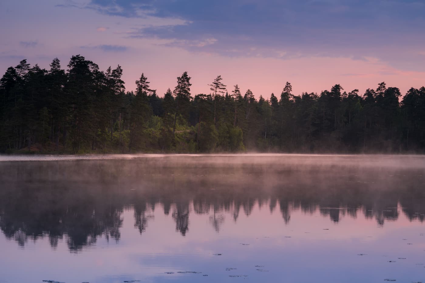 Mist rising from a still lake at dawn with a forest treeline beyond