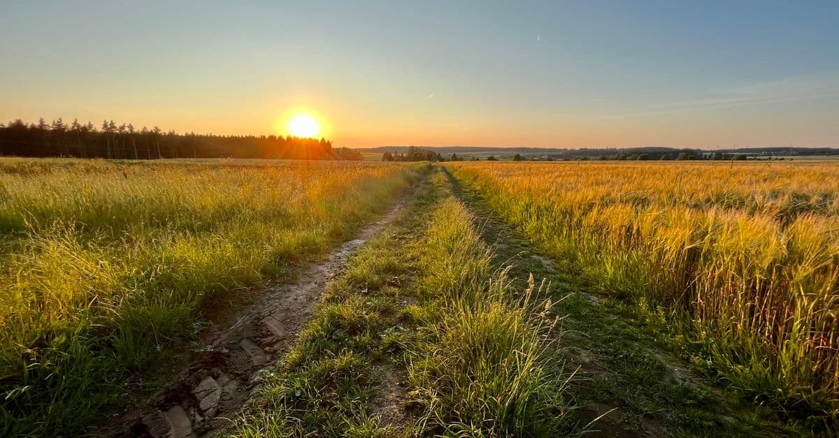 A country road through the Bavarian countryside at sunset, Germany
