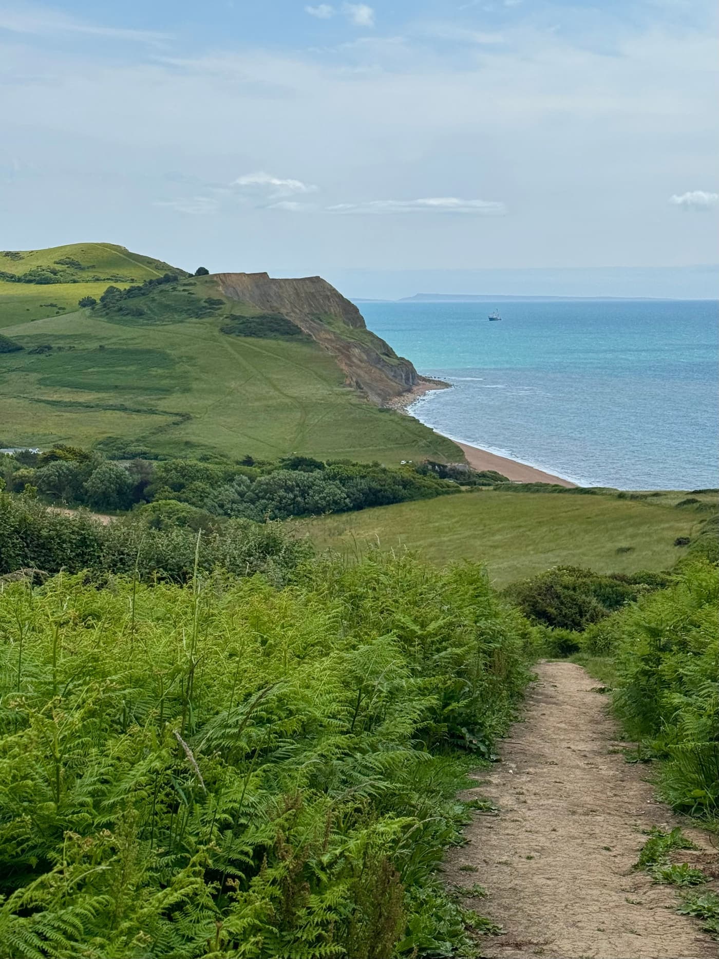 Coastal path winding through green English countryside towards the sea