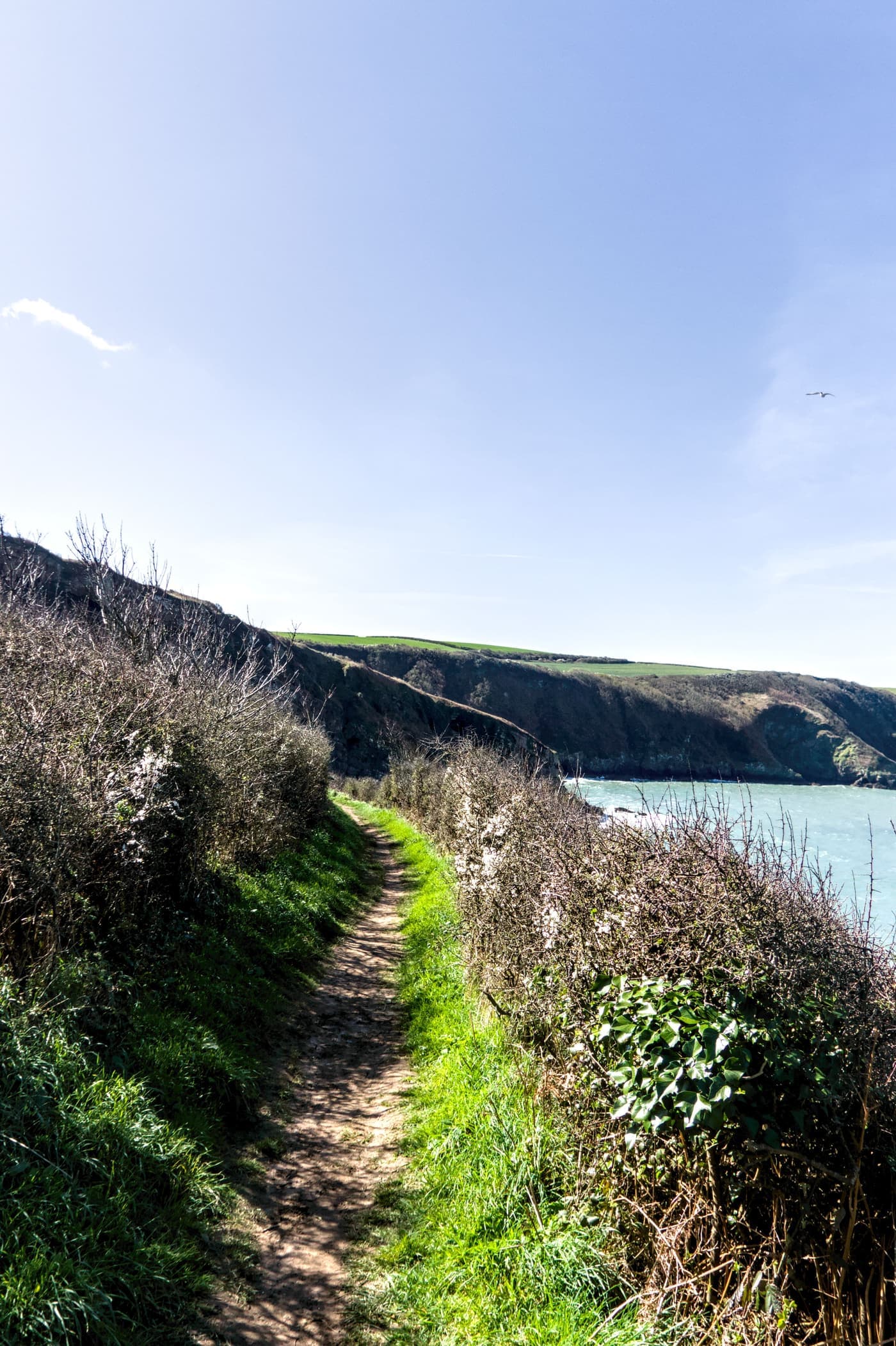 Coastal footpath above cliffs and sea at Little Haven, Wales