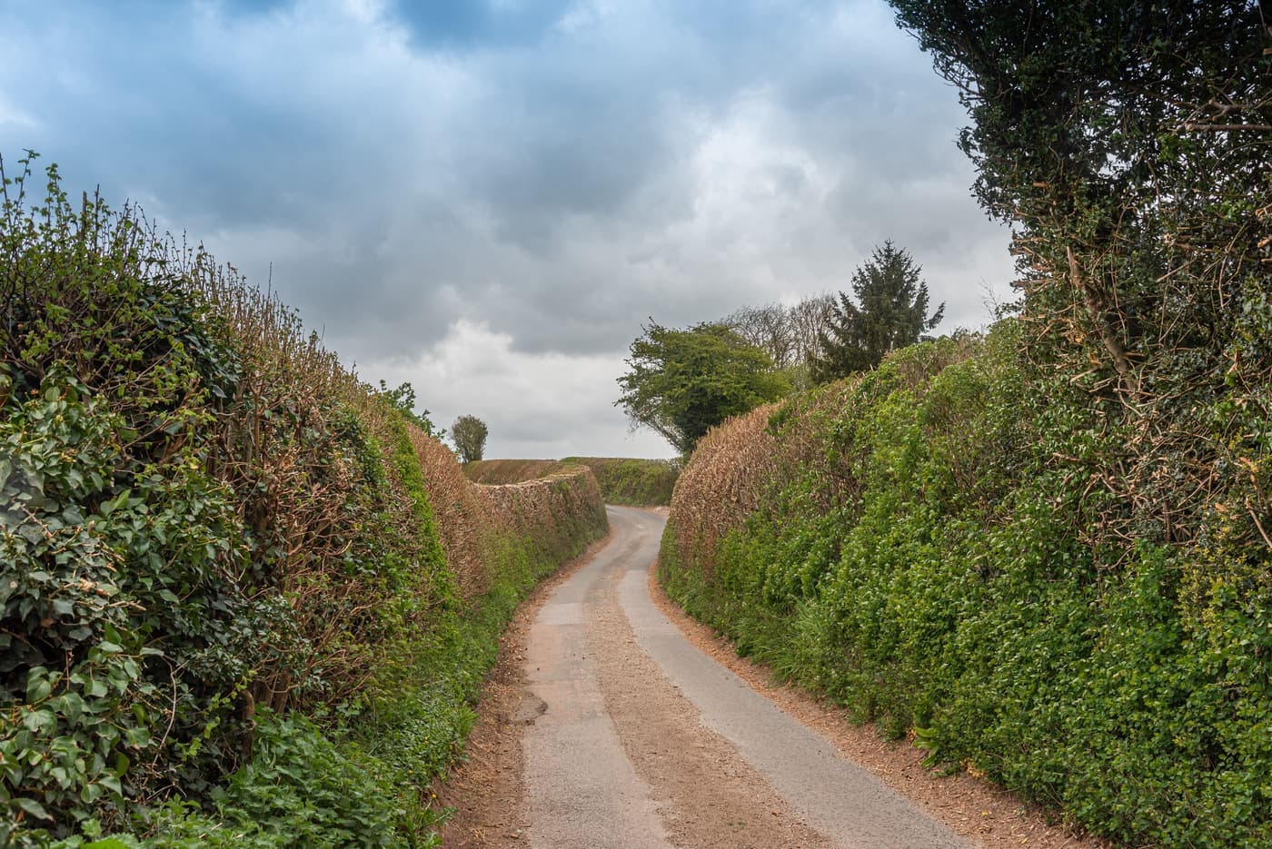Quiet country lane running between hedgerows under a clouded sky