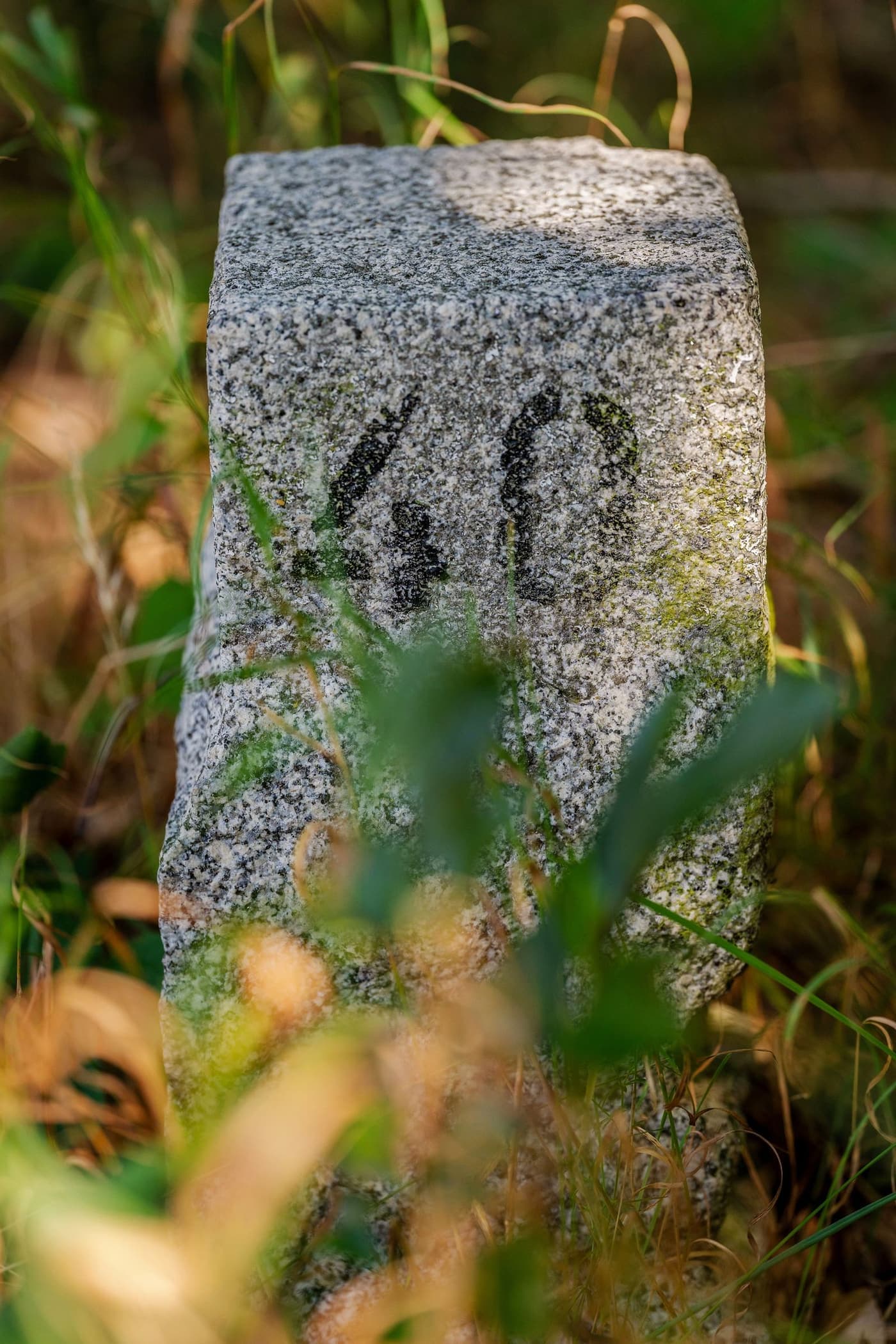 A weathered stone boundary marker set in open ground.