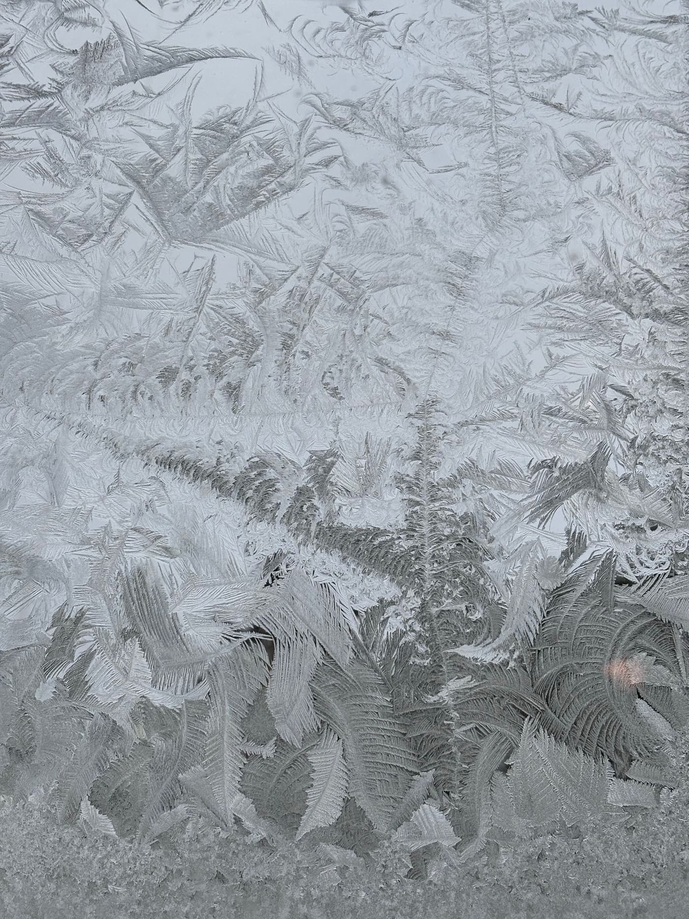 Frost patterns spreading across a windowpane in deep winter.